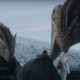 Drogon-Viserion-Game-Of Thrones-Season-8