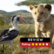 The-lion-king-review-hindi