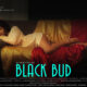 black-bud-review
