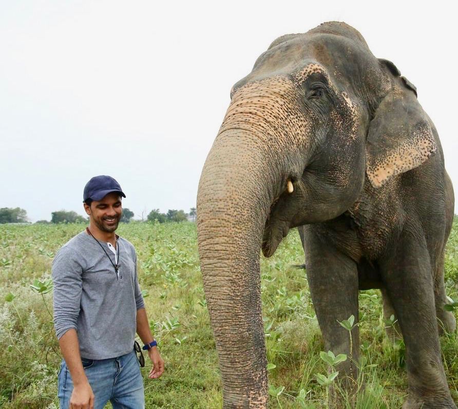 anuj-sachdeva-with-elephant