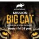 AP-Mission-Big-Cat-Key-Art.jpg