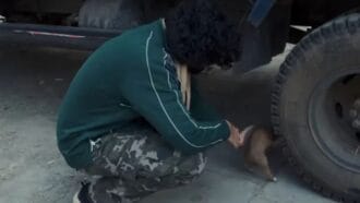 Sanjay Mishra and Neena Gupta in Vadh 2 movie